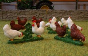 GALLINAS DE CORRAL